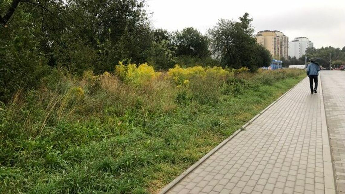 Deweloper do radnych Zamościa: Wy już nie głosujcie