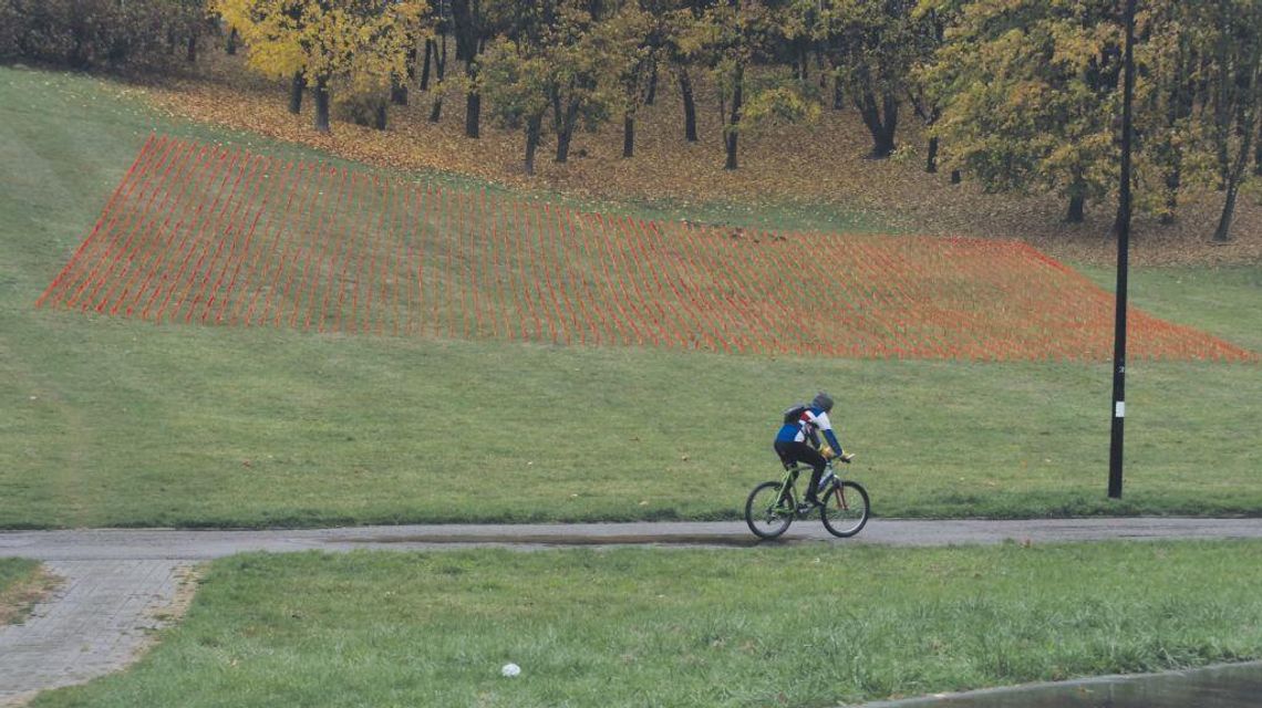 Deweloperka to opium dla miast