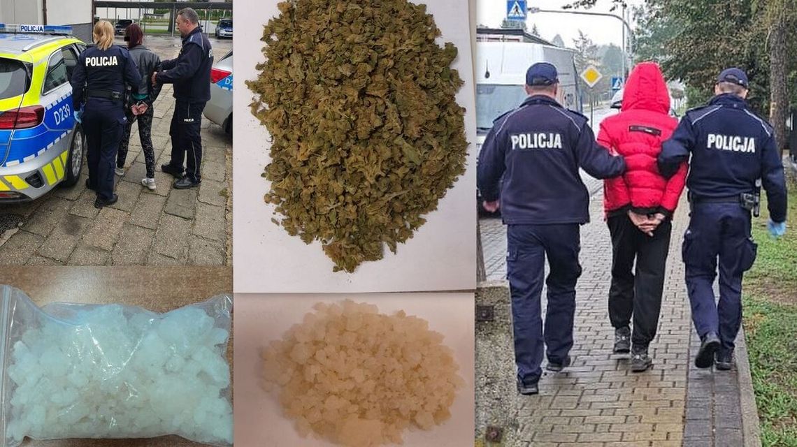 Dilerzy w rękach policji. Mieli "znaczne ilości narkotyków"