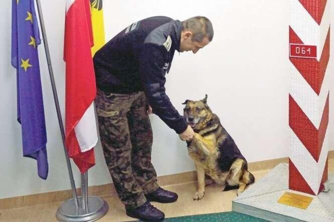 Dina odetchnie od narkotyków po 10 latach służby