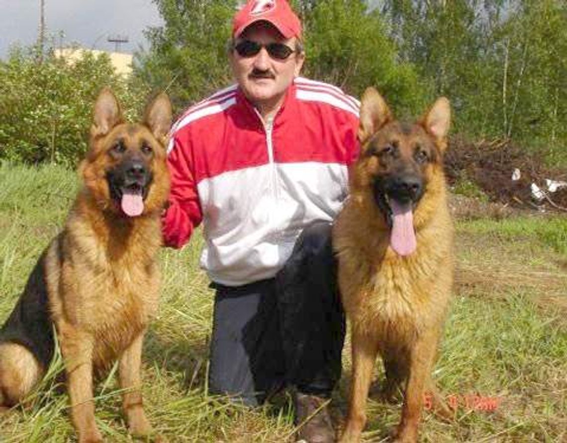 Dixi-Diwa miała niesamowity temperament. Jej dziadkiem był Yasko von Farbenspiel Dixi-Diwa miała niesamowity temperament. Jej dziadkiem był Yasko von Farbenspiel