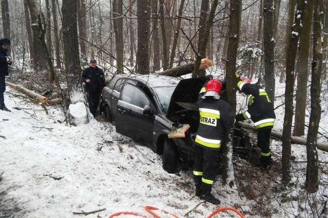DK19. Kierowca wjechał w drzewo