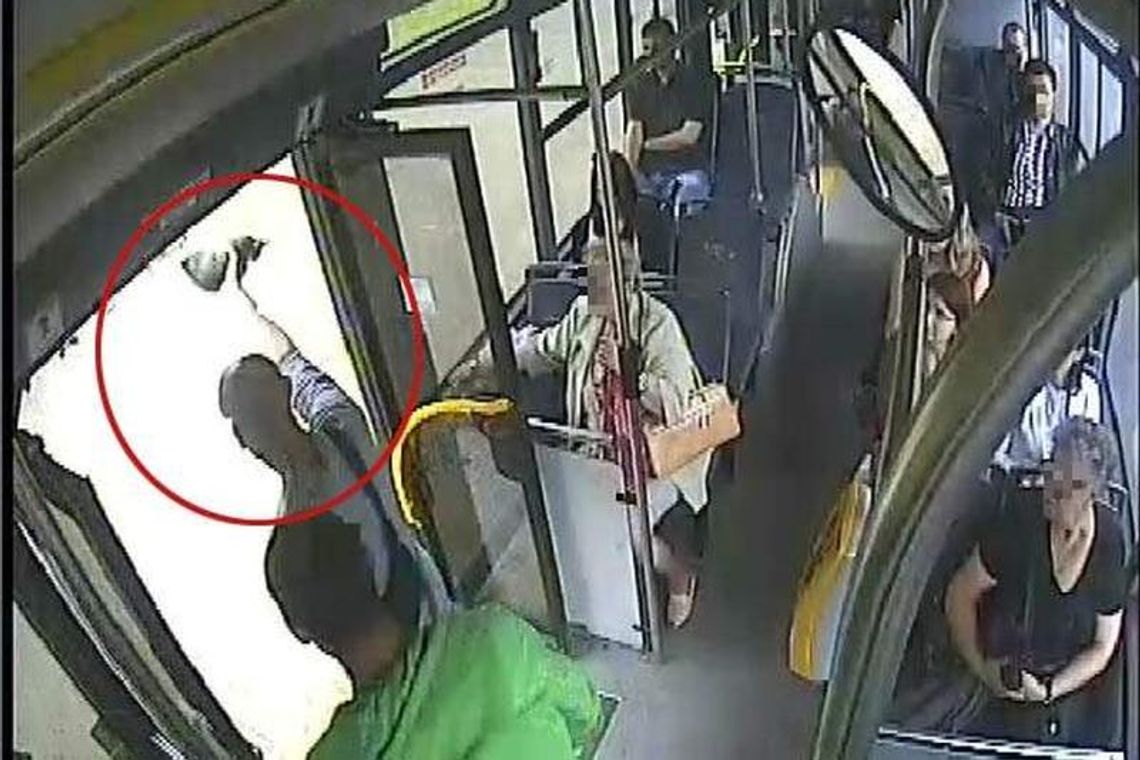 Dla \"zabawy” rzucał kotem w autobusie. Zwierzę udało się uratować Dla \"zabawy” rzucał kotem w autobusie. Zwierzę udało się uratować