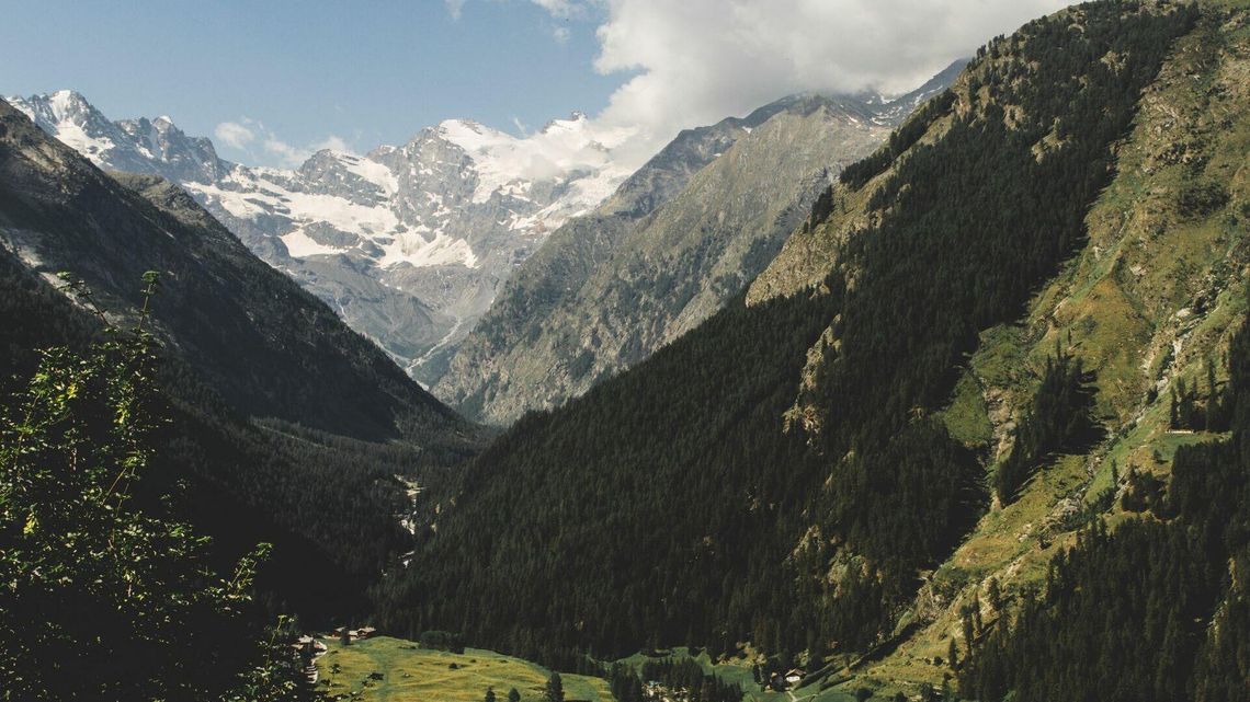 Dlaczego czyste powietrze jest ważne? Odkrywamy tajemnice neutralizacji odorów!