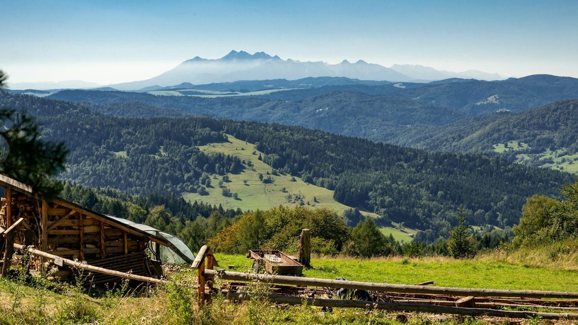 Dlaczego Krynica-Zdrój jest idealnym miejscem na rodzinne wakacje?