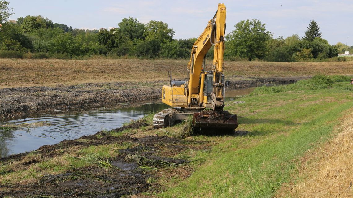 Dlaczego ogołocili brzeg Bystrzycy z roślinności? Wody Polskie tłumaczą, że musiały