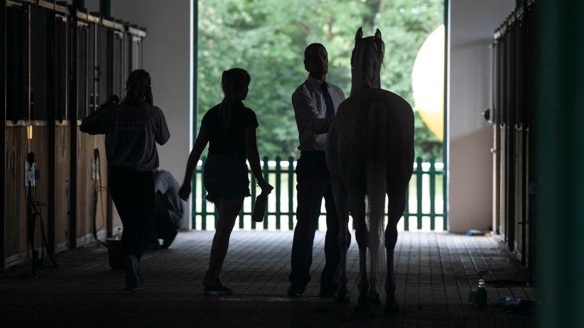 Dlaczego prezes rzucił pracę? Kulisy zmian w stadninie Janów Podlaski Dlaczego prezes rzucił pracę? Kulisy zmian w stadninie Janów Podlaski