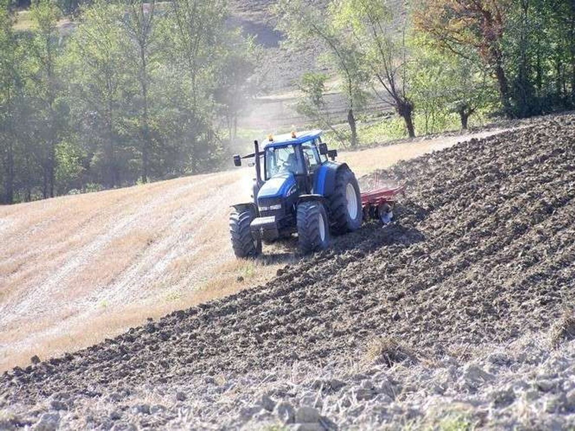 Dlaczego warto brać kredyty preferencyjne. Porady dla rolników
