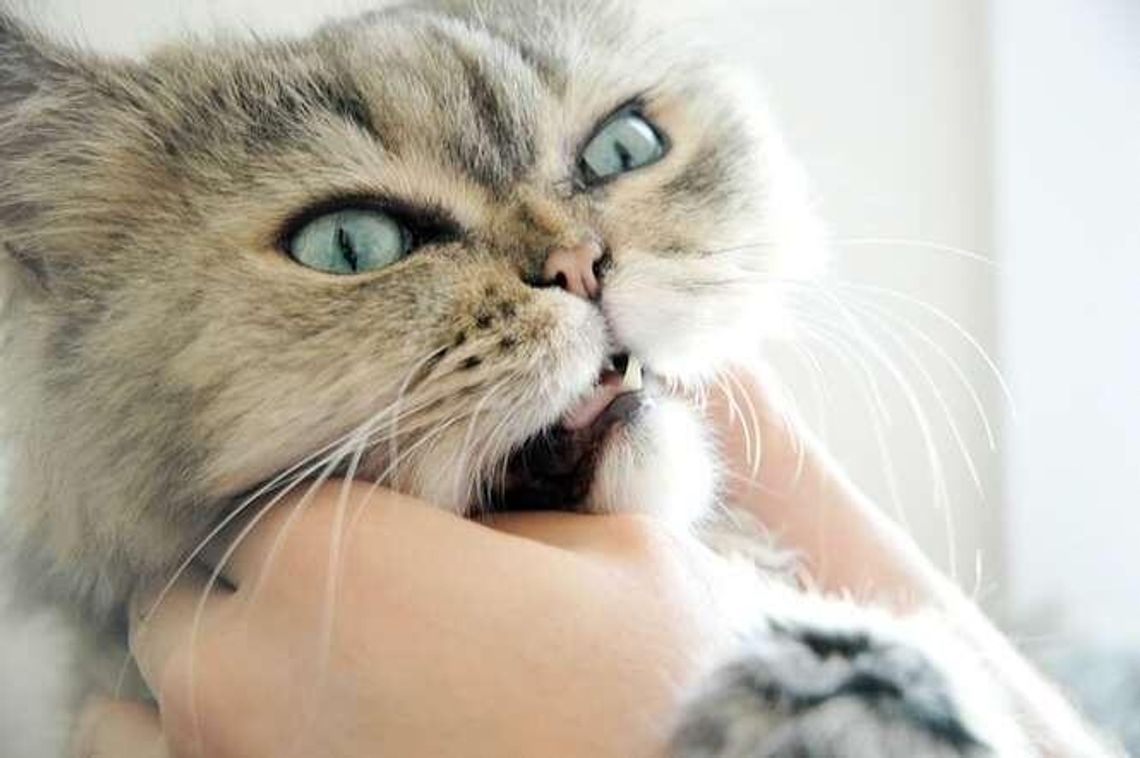 Dłuższy spacer na fundowany zabieg