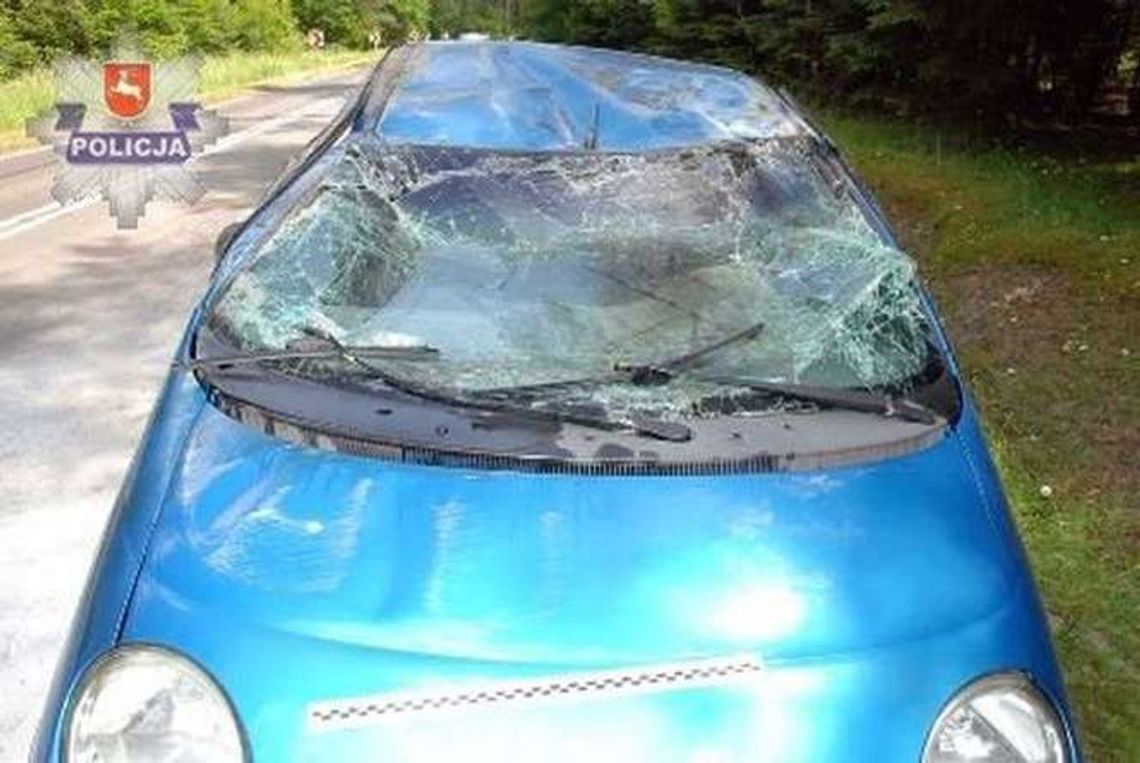 Do auta wpadł owad, samochód dachował. Dwie osoby w szpitalu