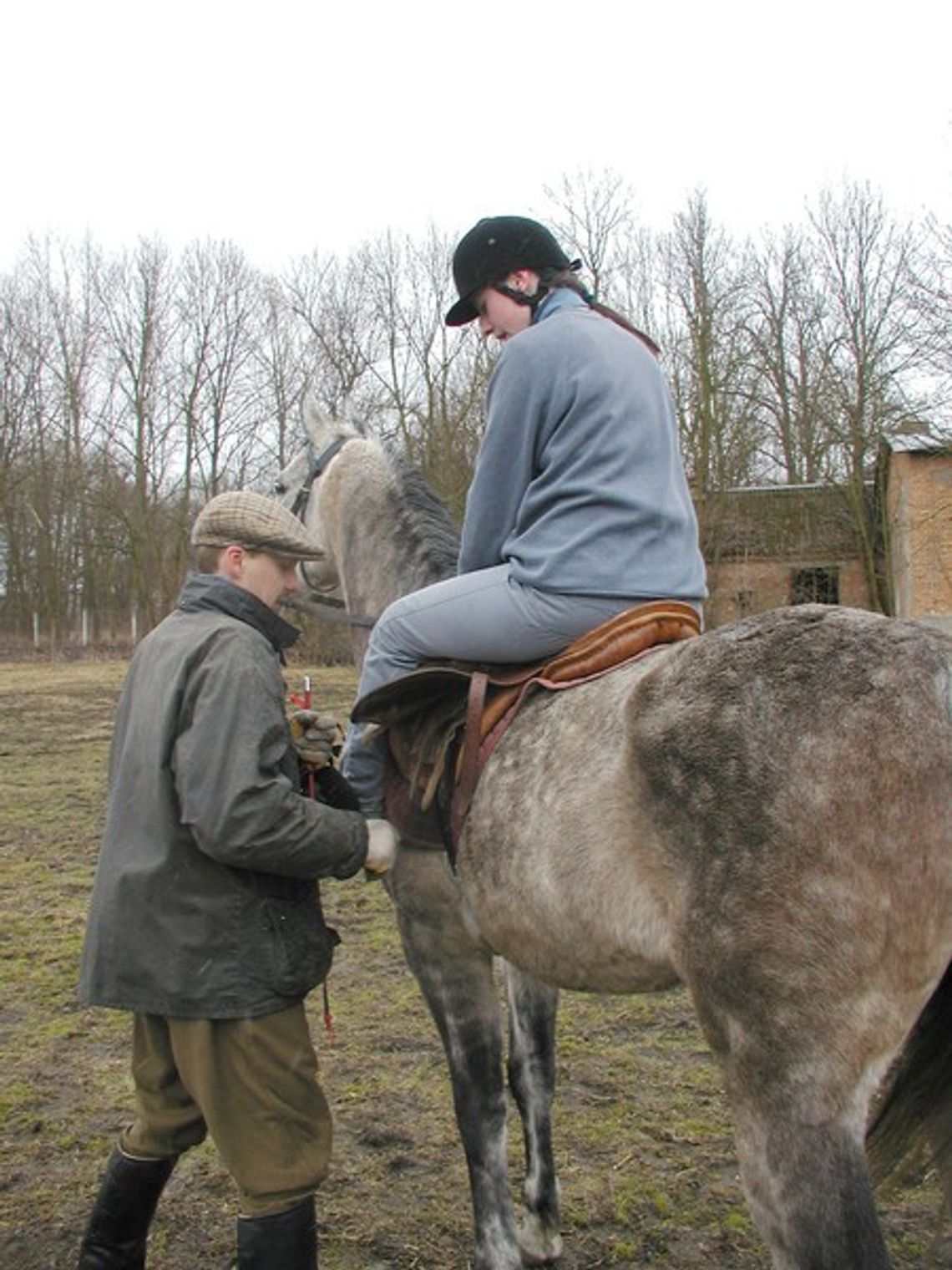 Do koni trzeba mieć serce