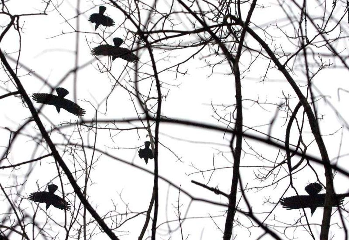 Do parku we Włodawie tylko z parasolem