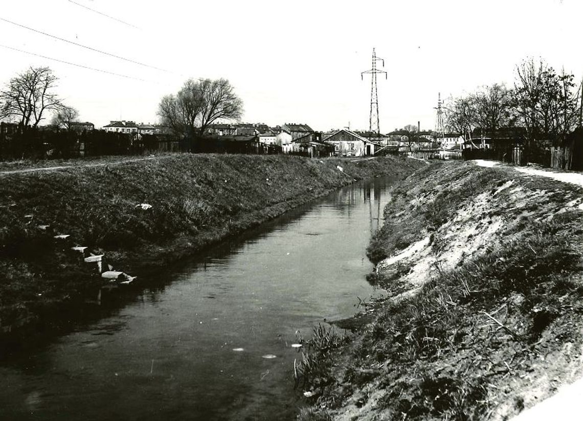 Do szkoły z romskimi dziećmi przez most na Czerniejówce