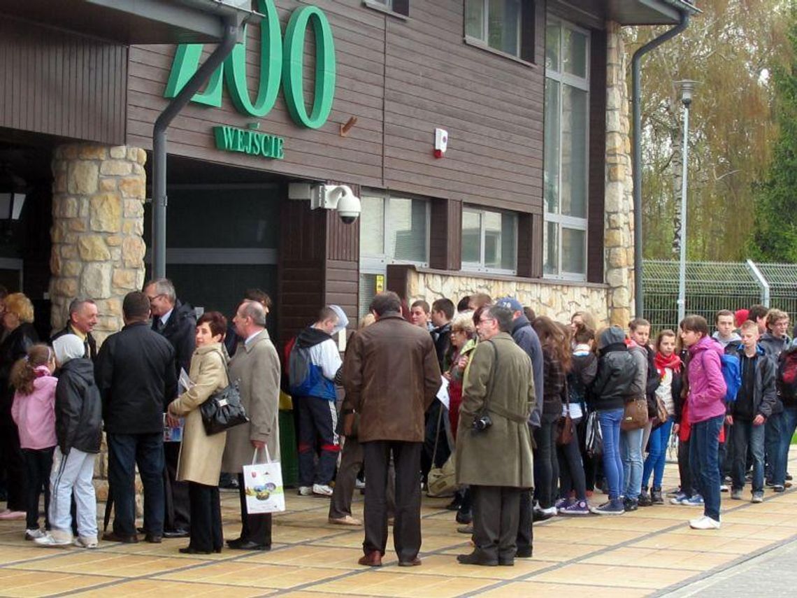 Do zoo bez biletów: Tłumy zwiedzających na Dniu Otwartym (foto)