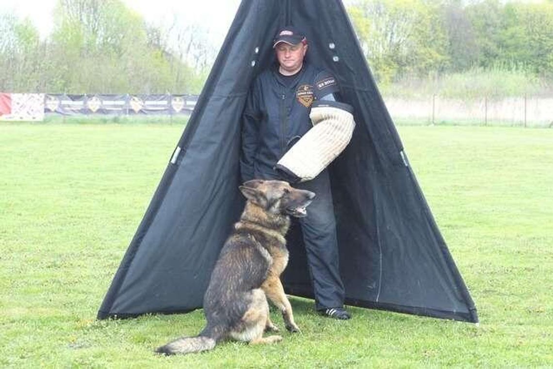 Dobry pies gryzie. Na komendę