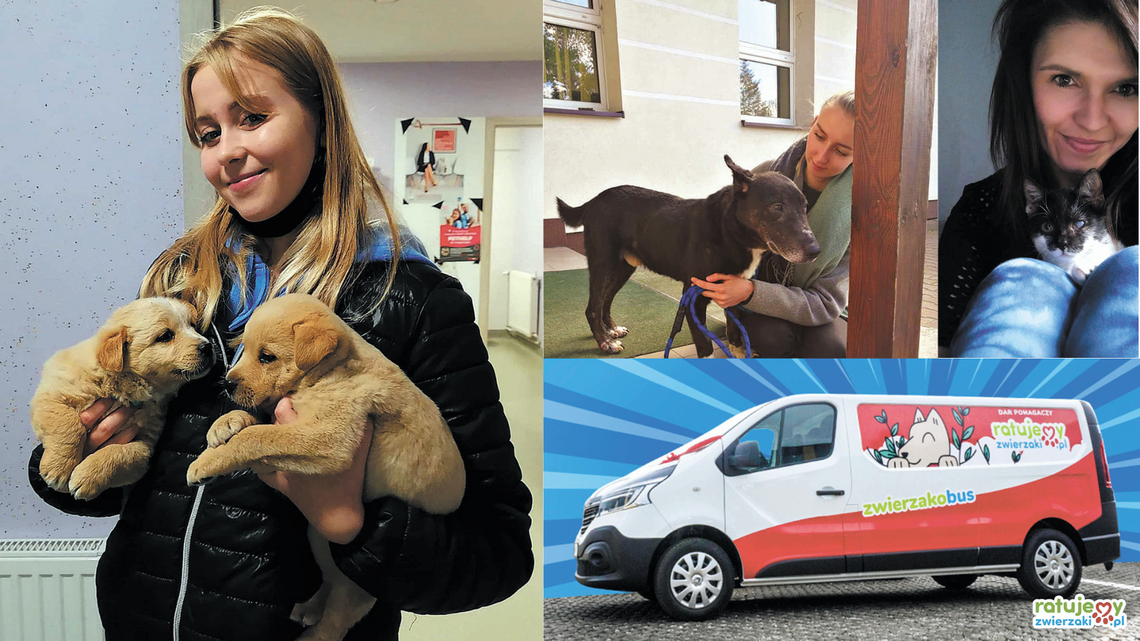 Dobrzy ludzie pomogą zwierzętom jeszcze lepiej. Fundacja z Puław wygrała zwierzakobus