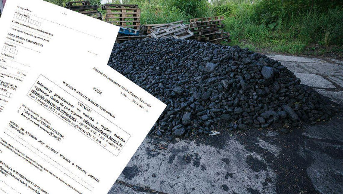 Dodatek węglowy. Tak wygląda wzór wniosku o 3 tys. zł Dodatek węglowy. Tak wygląda wzór wniosku o 3 tys. zł