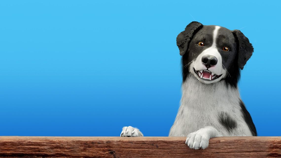 Dog Trainer: Psiaki w roli głównej (wideo)