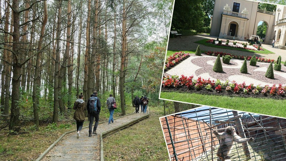 Dokąd na świąteczny spacer w Lublinie i regionie? Dokąd na świąteczny spacer w Lublinie i regionie?