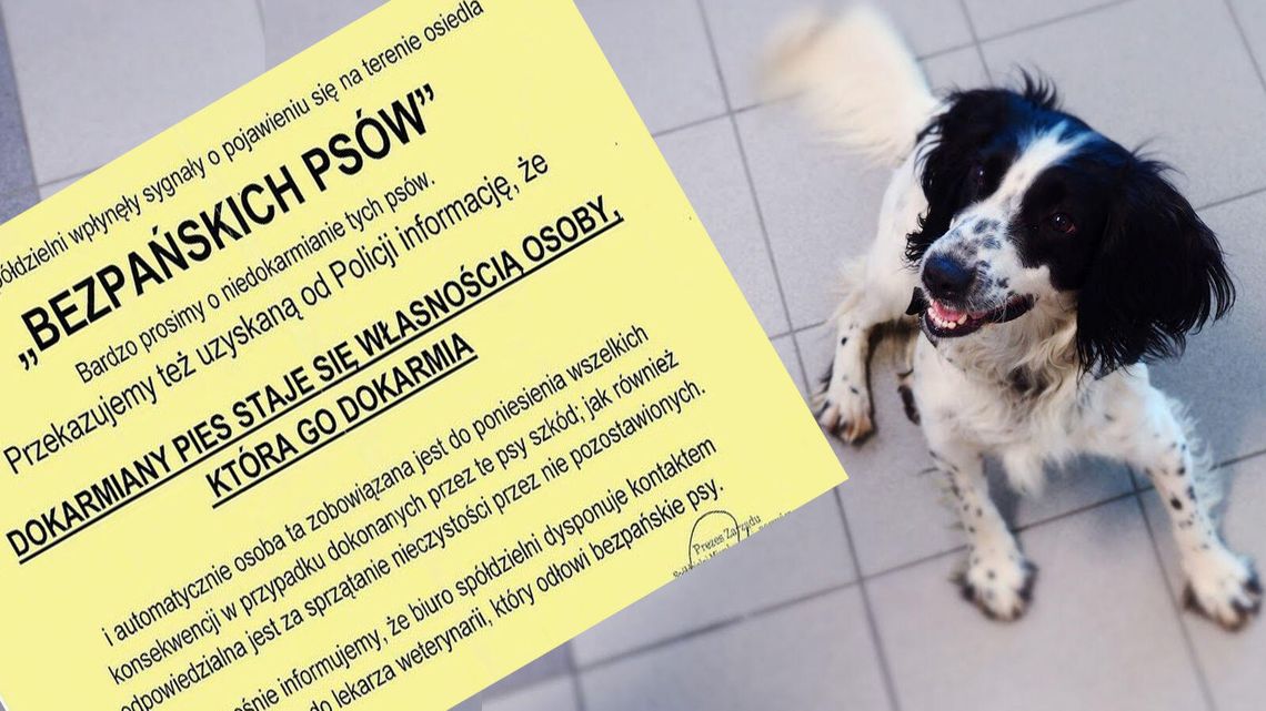 "Dokarmiasz, bierzesz psa". Było ogłoszenie, teraz są przeprosiny. "To nie jest zgodne z prawem"