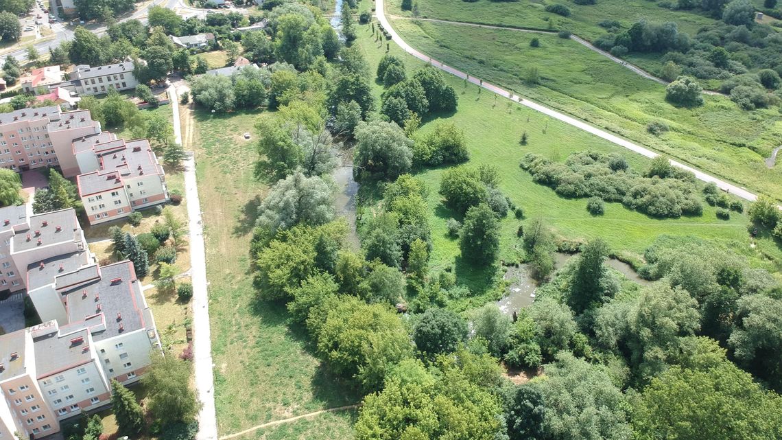 Dokładnie policzyli i wyszło słabo. Lublinowi potrzebne jest więcej zieleni