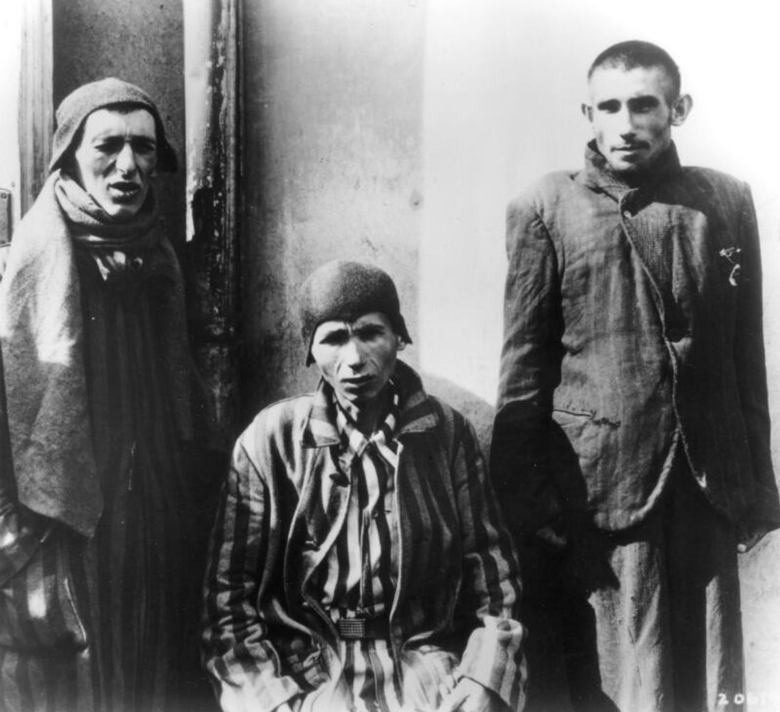 Dokument „Pamięć obozów” w TVP1 Dokument „Pamięć obozów” w TVP1