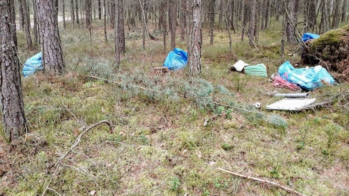 Dokumenty z danymi personalnymi wylądowały w lesie pod Biłgorajem. Śmieciarz dostał mandat