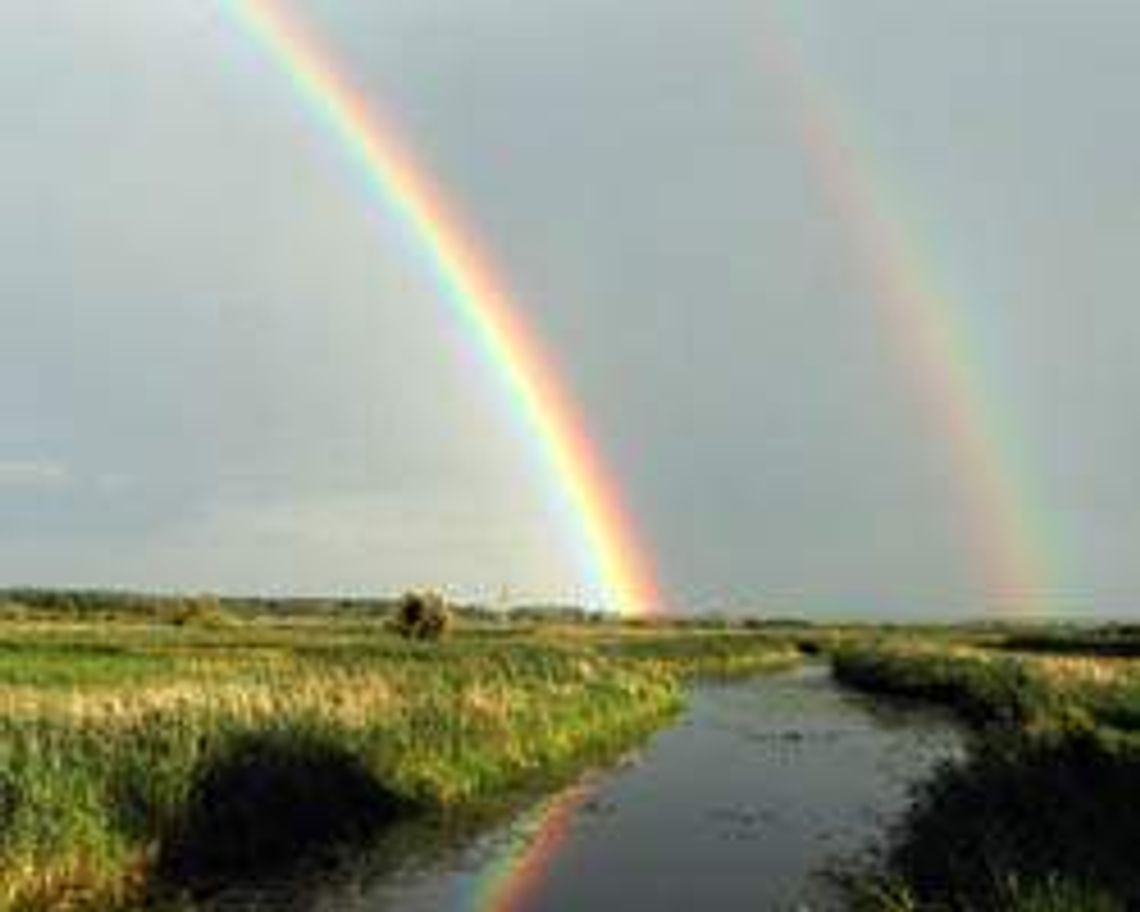 Dolina Tyśmienicy (nr 62) - 2 głosy