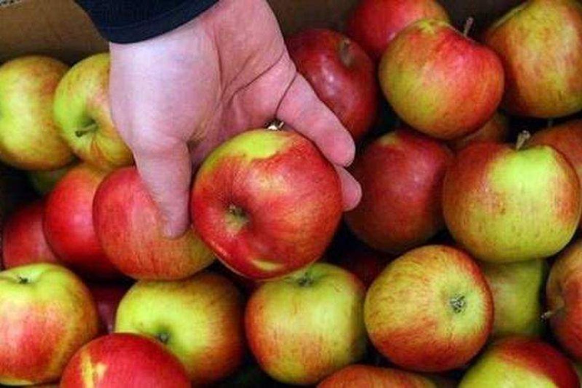 Dolina Zielawy: Owoce, warzywa i zioła trafią do przetwórni. Za unijną kasę?