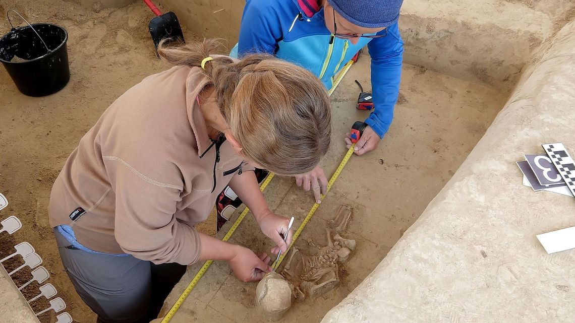 "Dom zmarłych" koło Hrubieszowa. Odnaleziono szczątki niemowląt