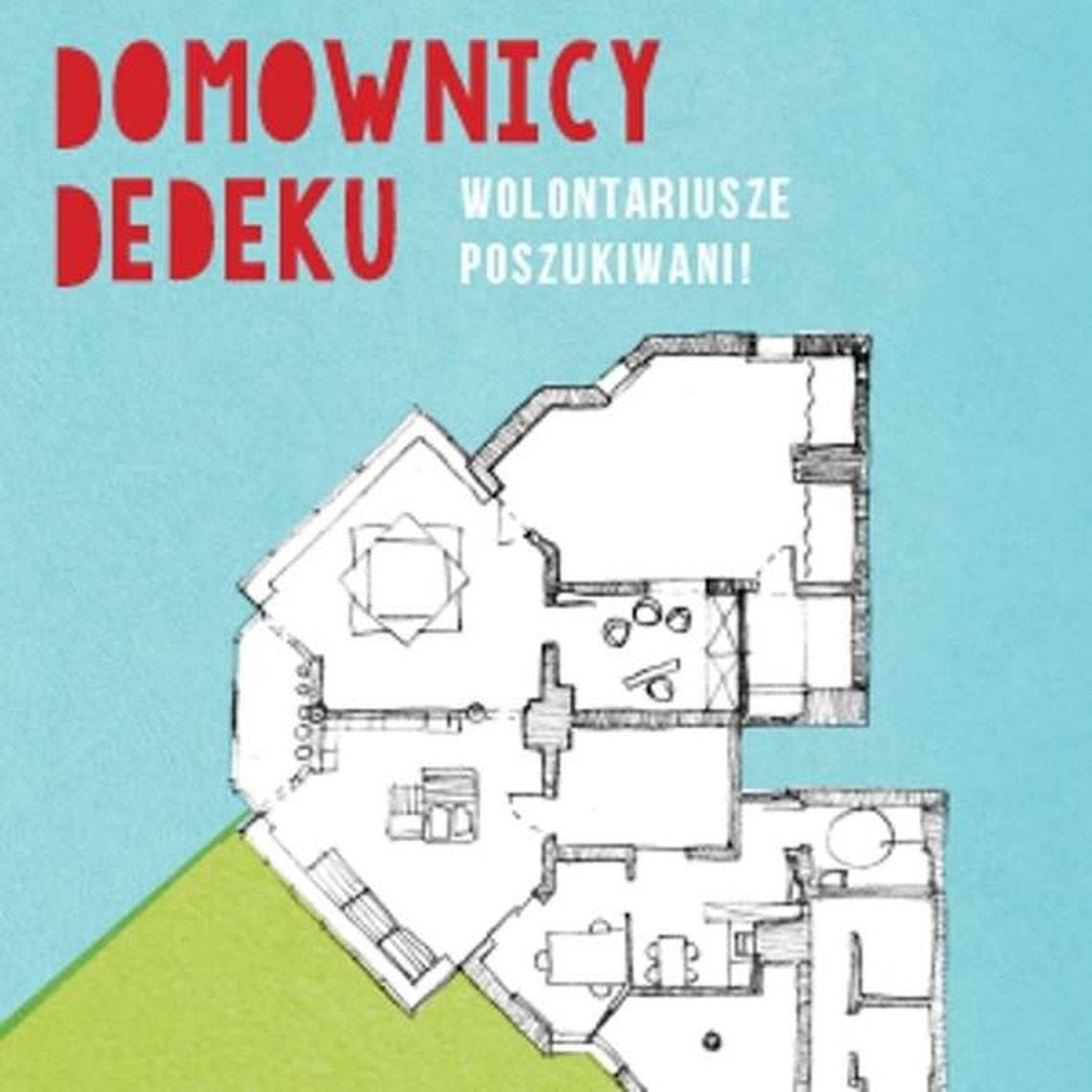 Domownicy Dedeku poszukują wolontariuszy