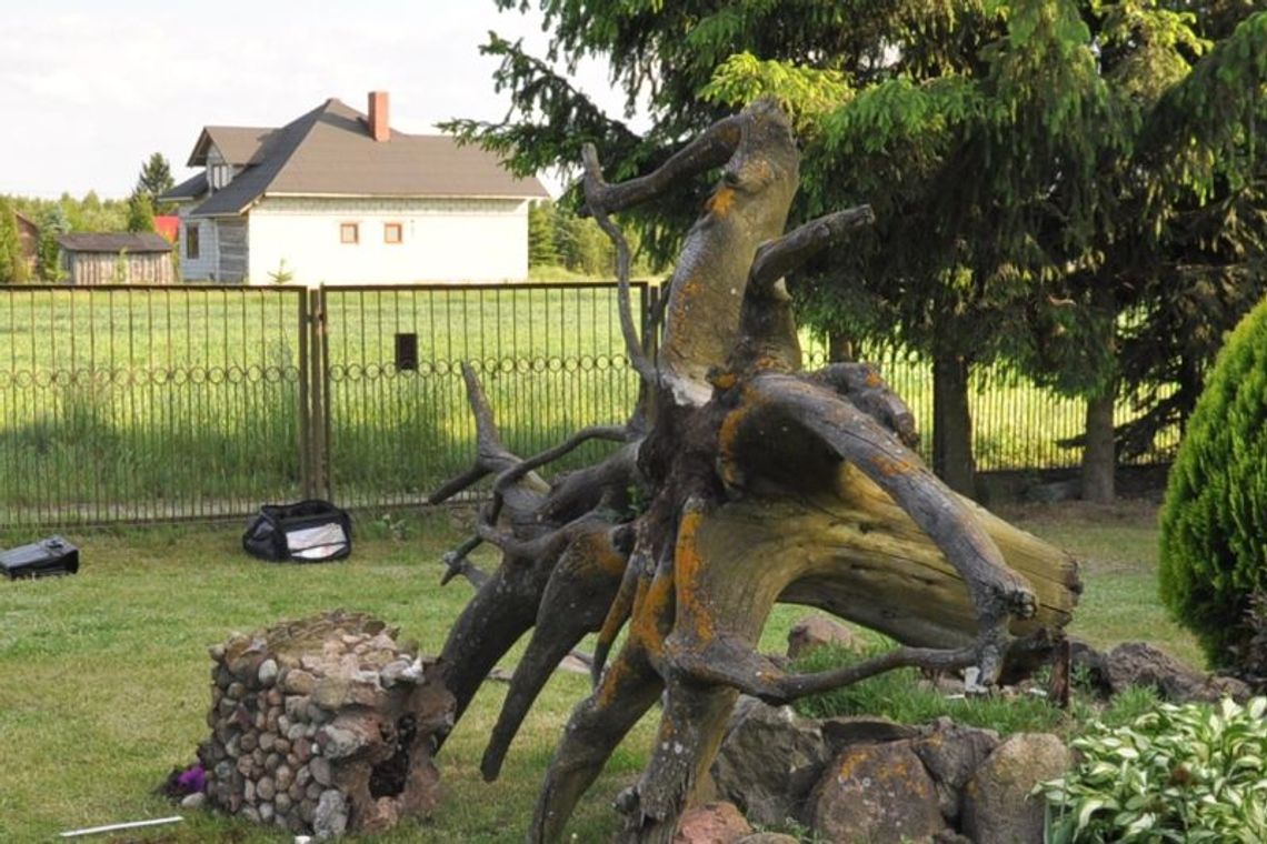 Donica spadła na sześciolatka. Dziecko zmarło