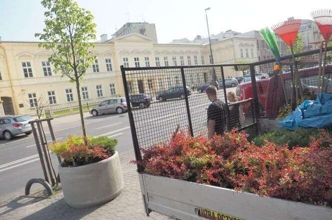 Donice z kwiatami stanęły w centrum Lublina Donice z kwiatami stanęły w centrum Lublina