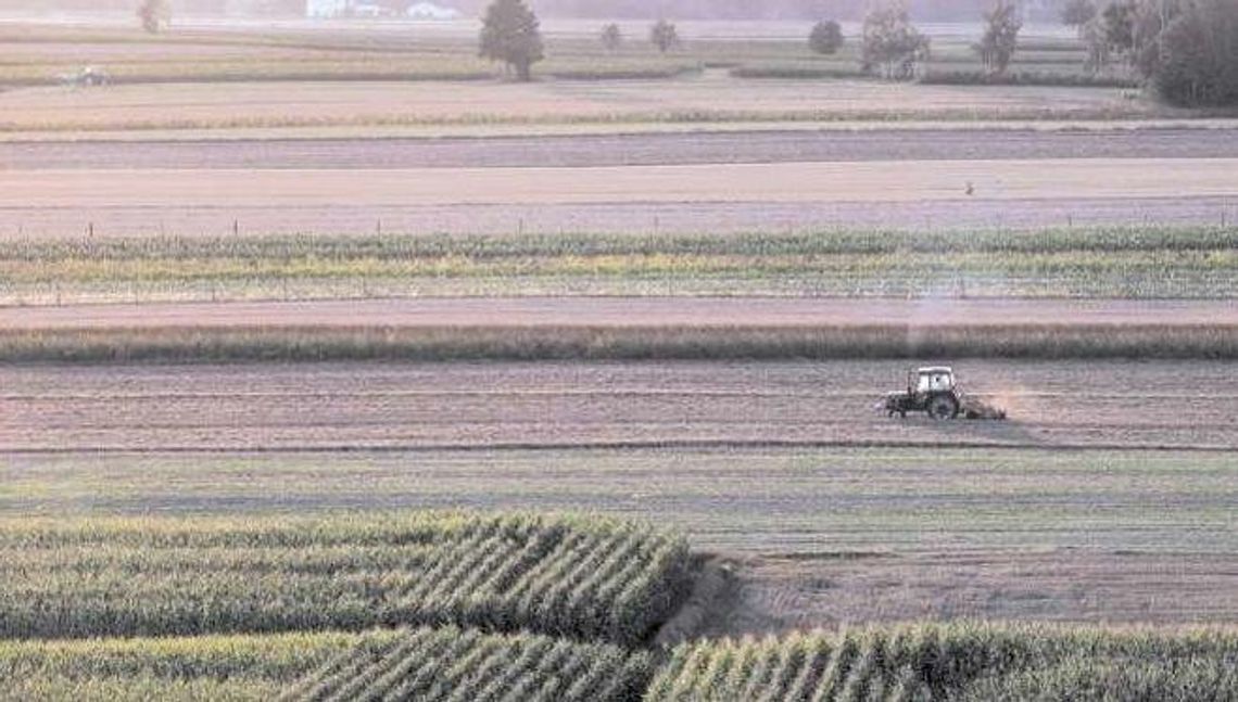 Dopłaty bezpośrednie 2019. Zaliczki dla niektórych rolników były mniejsze przez kontrole Dopłaty bezpośrednie 2019. Zaliczki dla niektórych rolników były mniejsze przez kontrole
