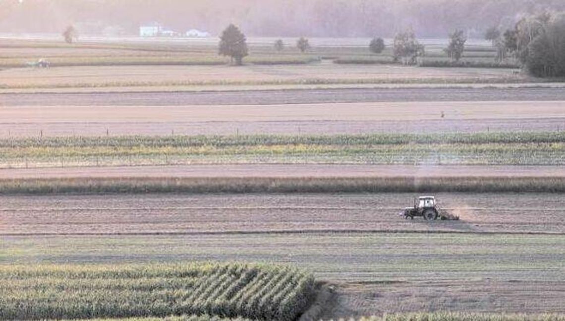 Dopłaty dla rolników 2021. W sobotę lubelskie biura ARiMR udzielają pomocy