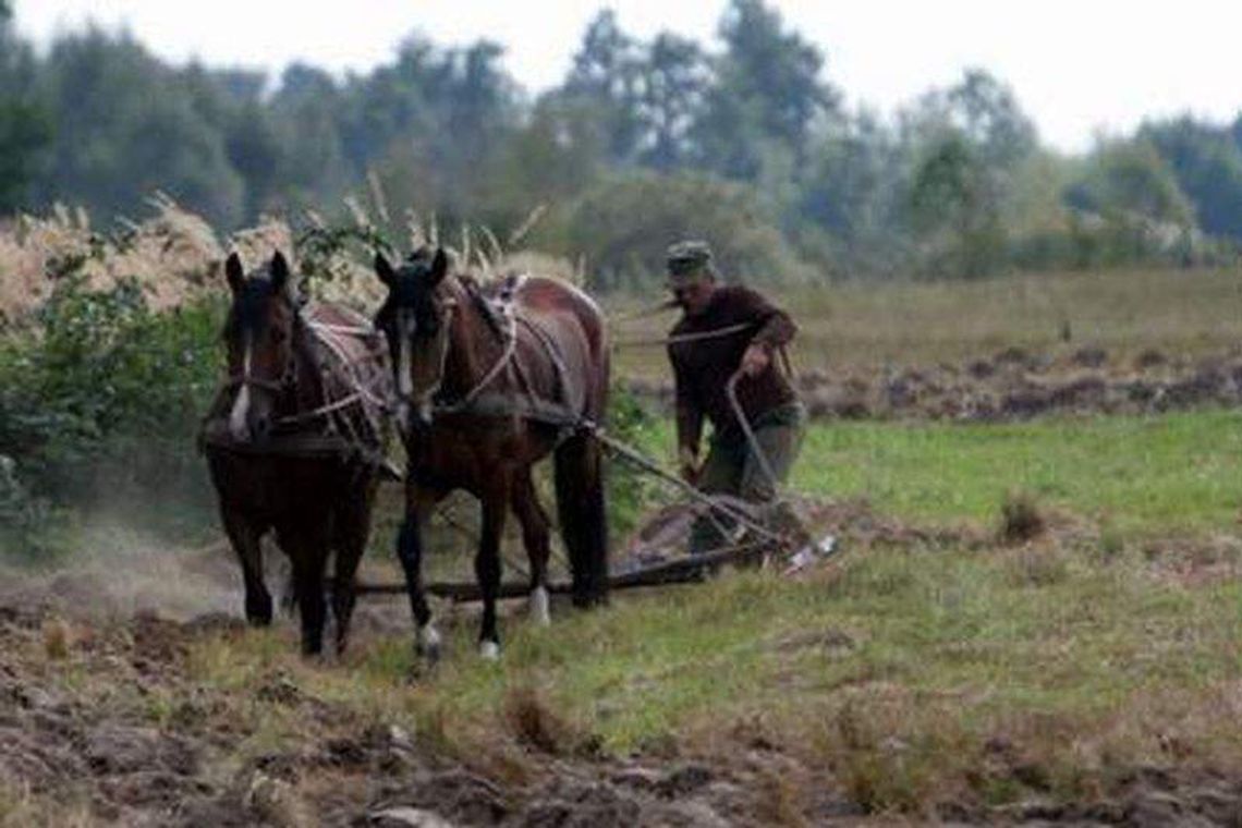 Dopłaty dla rolników. Dyżur ekspertów w naszej redakcji