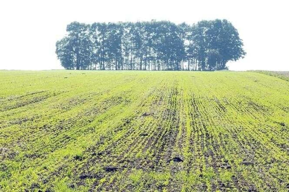 Dopłaty dla rolników: Wnioski można składać do połowy czerwca Dopłaty dla rolników: Wnioski można składać do połowy czerwca