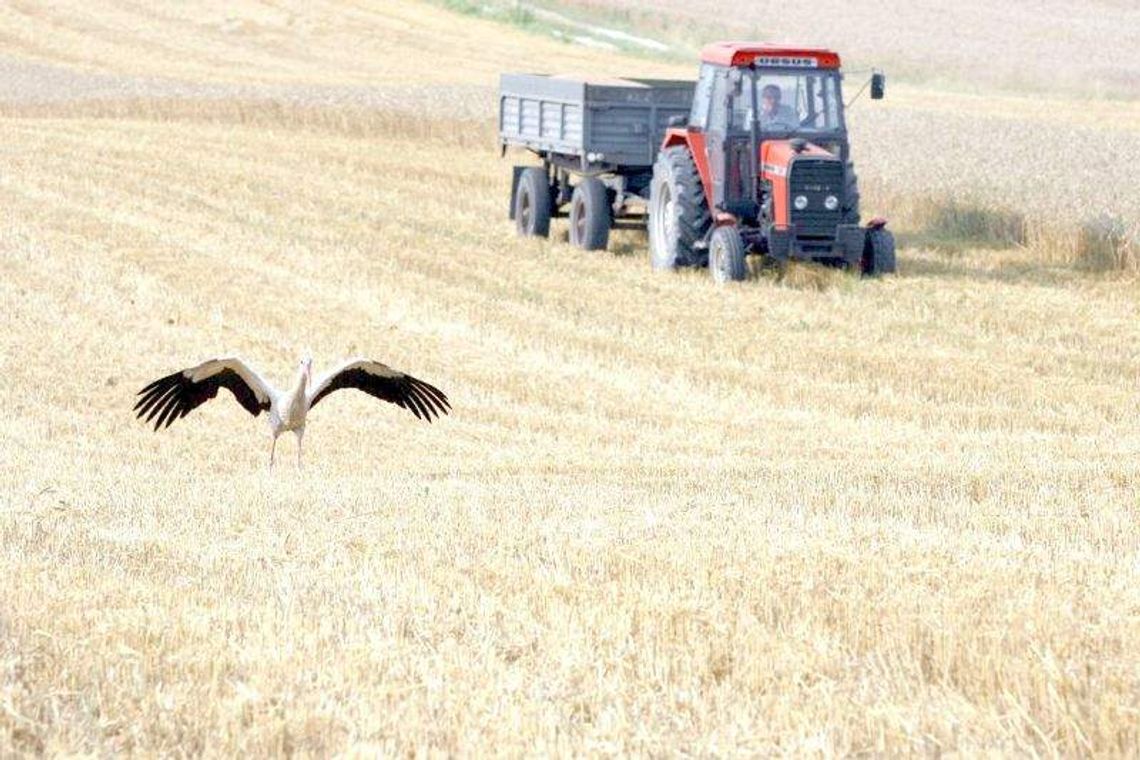 Dopłaty po nowemu. Można już składać wnioski