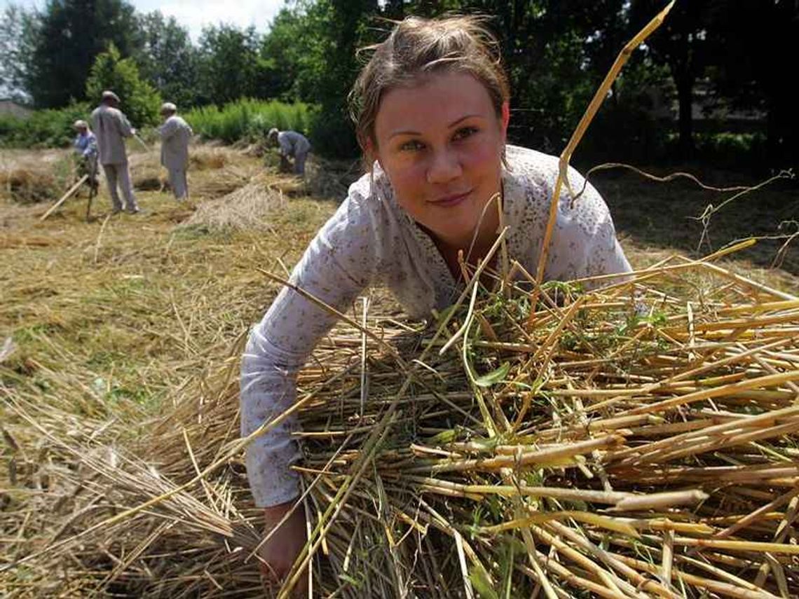 Dopłaty unijne dla rolników: Od dziś można składać wnioski