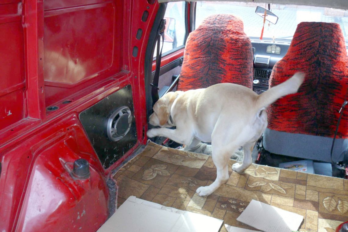 Dorohusk: Bora wytropiła przemycane papierosy