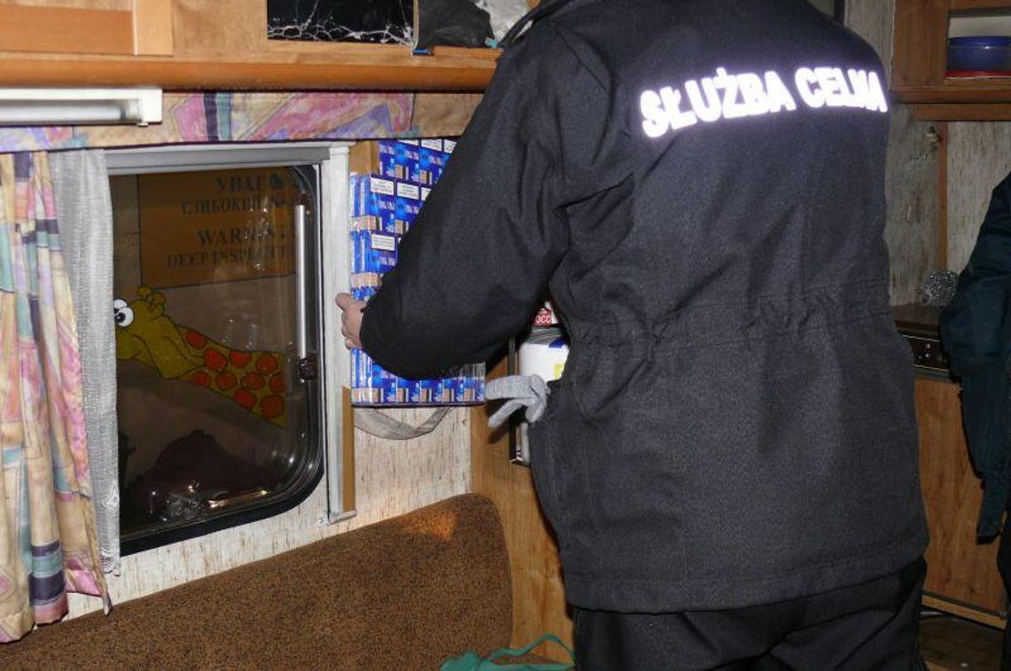 Dorohusk: Owczarek wywąchał papierosy w wozie kempingowym