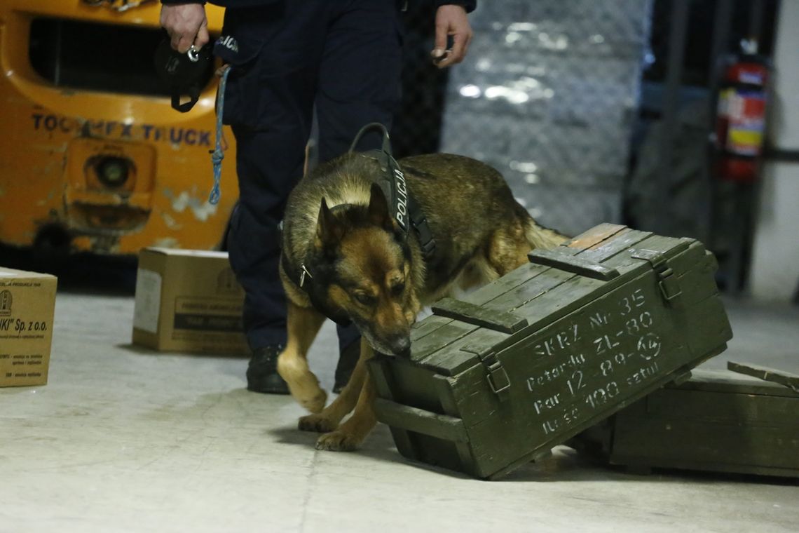 Doszkolili psich funkcjonariuszy Doszkolili psich funkcjonariuszy