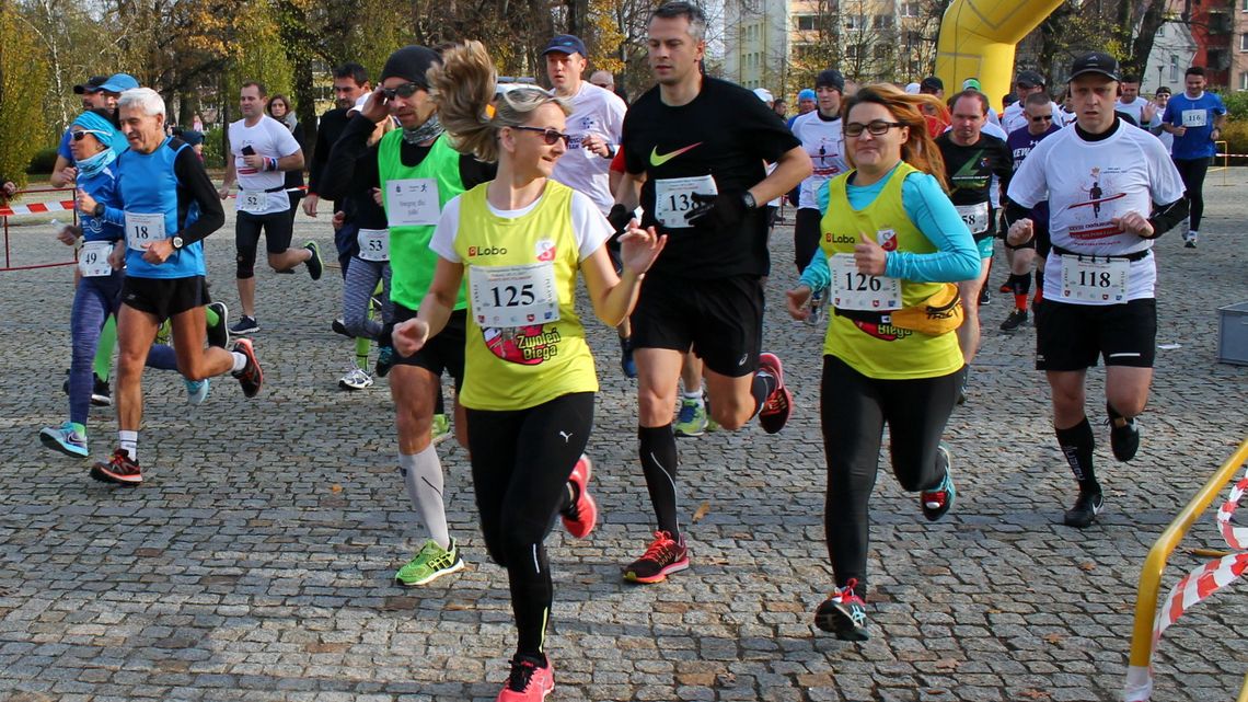 Dotacje na puławski sport podzielone. Kto dostanie najwięcej pieniędzy?