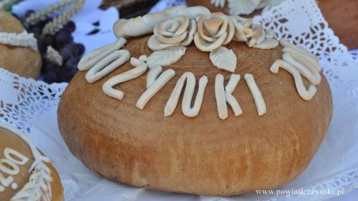 Dożynki powiatowe w Ludwinie 2018 [program]