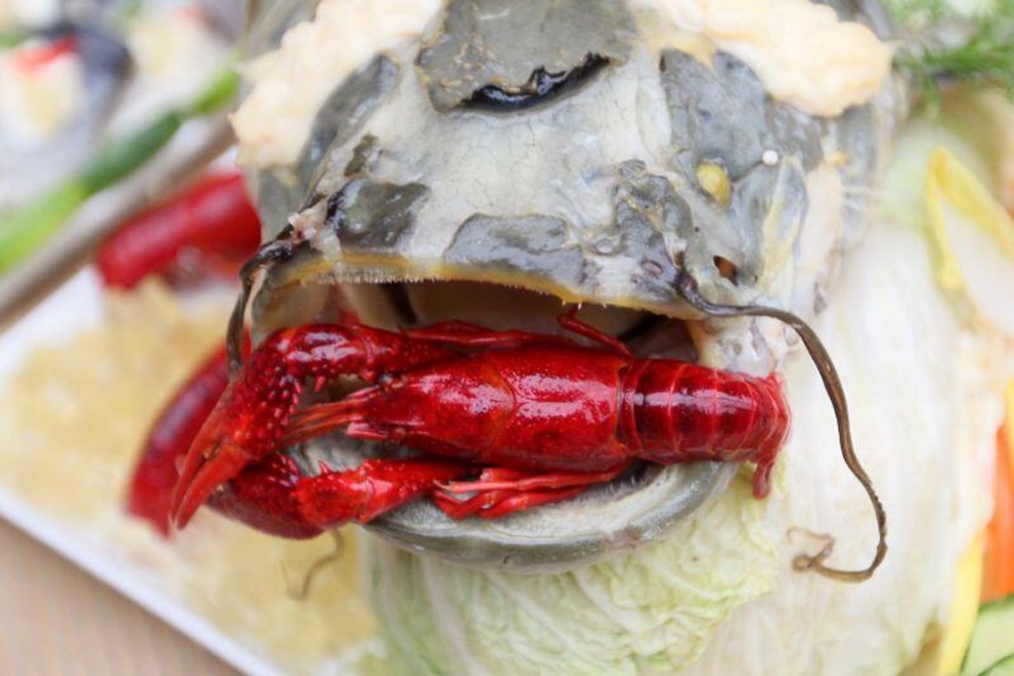 Dożynki Rybackie: Szczupak i sandacz palce lizać (zdjęcia)