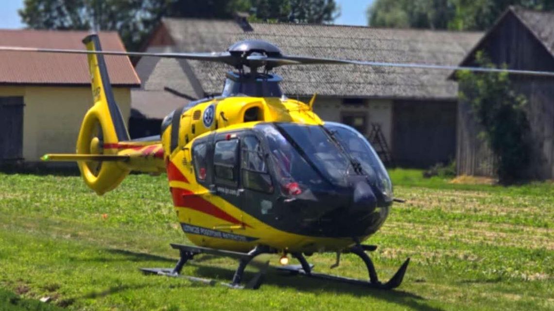 Dramat w gminie Rejowiec. Czteroletnia dziewczynka walczy o życie po ataku psa Dramat w gminie Rejowiec. Czteroletnia dziewczynka walczy o życie po ataku psa