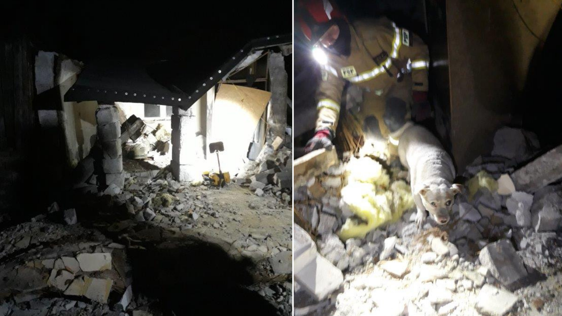 Dramatyczna akcja ratunkowa w Lubartowie. Człowiek i pies znalezieni pod gruzami