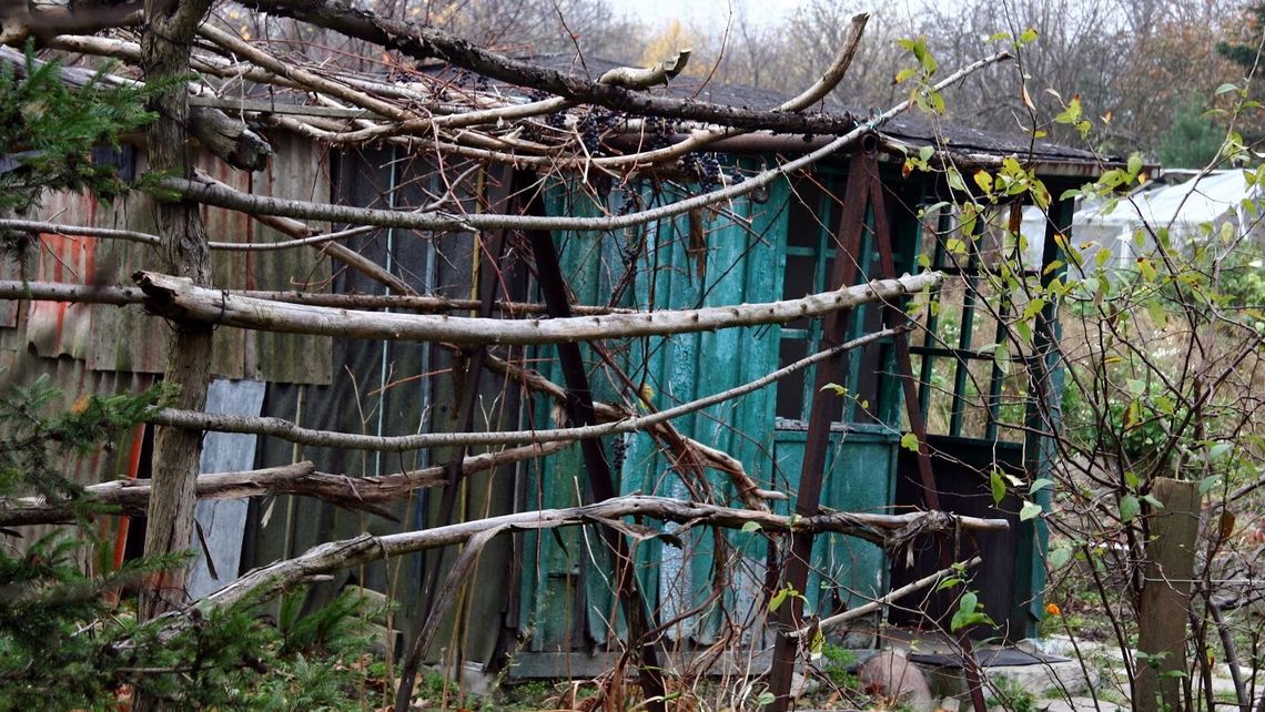 Dramatyczne sceny na działkach w Lublinie. 15-latka opowiedziała, co jej zrobił Dramatyczne sceny na działkach w Lublinie. 15-latka opowiedziała, co jej zrobił