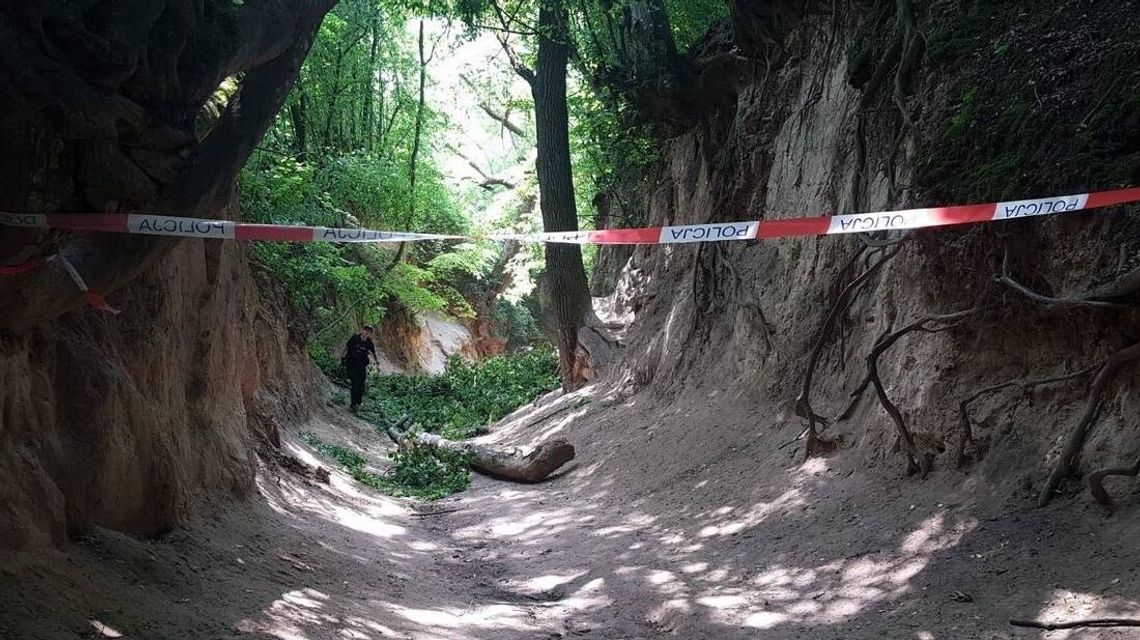 Dramatyczne sceny w Kazimierzu Dolnym. Co dalej z wąwozem?