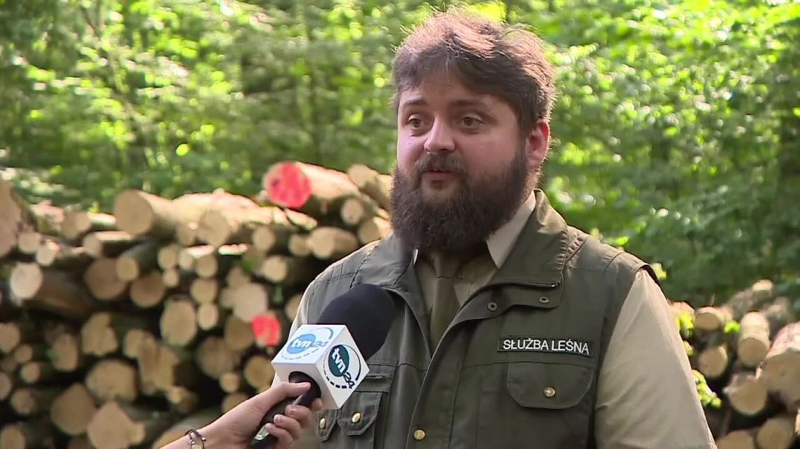 Drewna w lasach już nie ma. Zainteresowanie jest ogromne Drewna w lasach już nie ma. Zainteresowanie jest ogromne